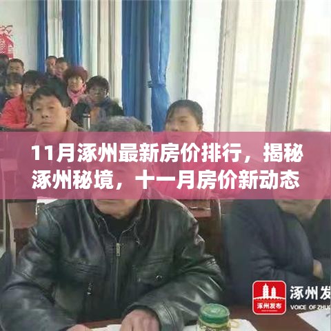 揭秘涿州最新房?jī)r(jià)動(dòng)態(tài)，綠色之旅探尋內(nèi)心平靜之地