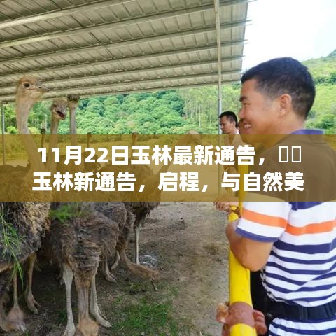 玉林新通告發(fā)布，啟程共舞自然美景，探尋內(nèi)心寧?kù)o之樂(lè)