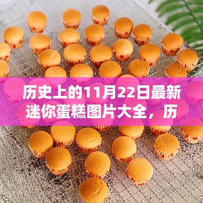 歷史上的11月22日迷你蛋糕圖片精選集，最新圖片大全展示
