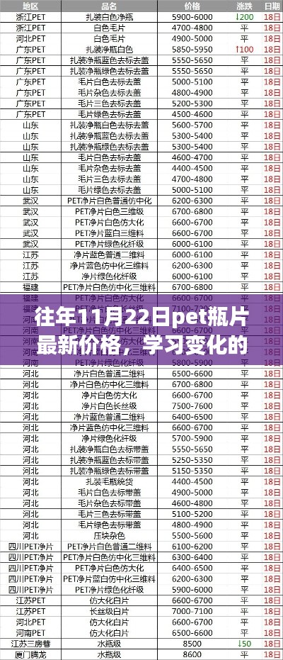 往年11月22日PET瓶片最新價格，探尋變化的力量，自信與成就的來源
