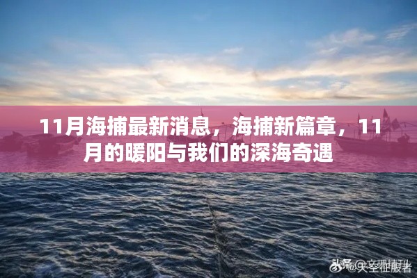 11月深海奇遇，海捕新篇章開啟，暖陽下的深海探索之旅