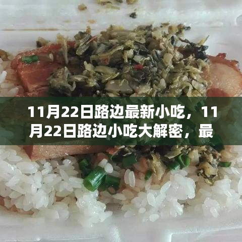 揭秘11月22日路邊最新小吃，深度評測與介紹