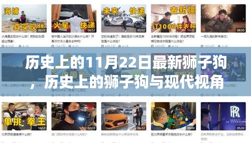 歷史上的獅子狗，從過去到現(xiàn)代的視角探討與最新獅子狗事件回顧