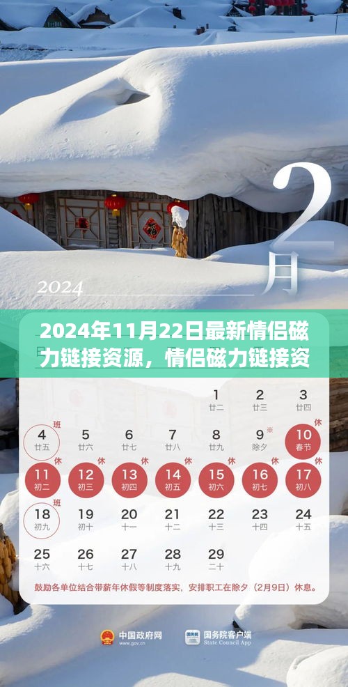 2024年情侶磁力鏈接資源新動(dòng)態(tài)，探索最新進(jìn)展與資源