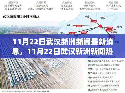 武漢新洲新聞熱點(diǎn)解析，最新消息與熱點(diǎn)解析（日期標(biāo)注）
