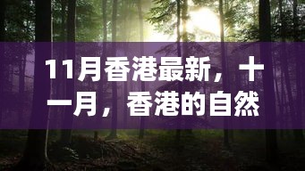 香港十一月自然之旅，綠色懷抱中的心靈尋覓