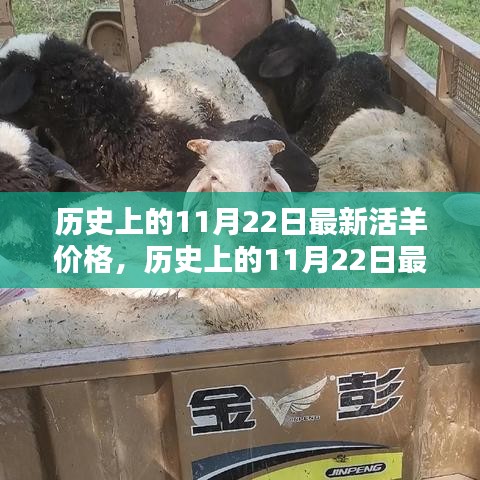 歷史上的11月22日活羊價(jià)格深度評(píng)測(cè)與介紹，最新價(jià)格及市場(chǎng)分析