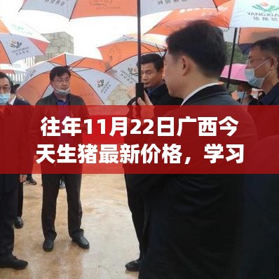 廣西生豬最新價(jià)格動(dòng)態(tài)，見證躍升的力量，成長(zhǎng)之路精彩紛呈