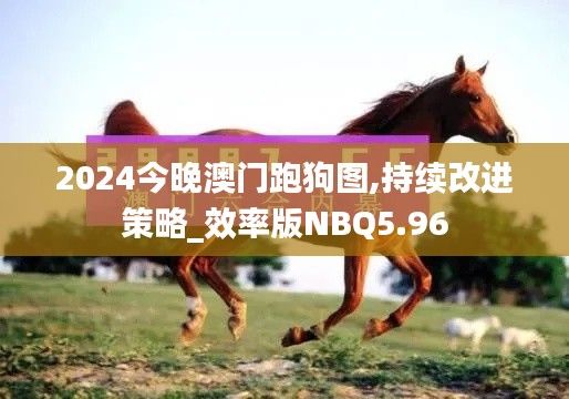 2024今晚澳門跑狗圖,持續(xù)改進策略_效率版NBQ5.96