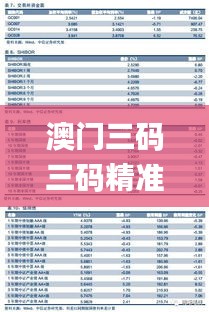 澳門三碼三碼精準(zhǔn)100%,全身心數(shù)據(jù)計劃_深度版WZX5.63