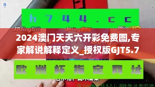 2024澳門天天六開彩免費圖,專家解說解釋定義_授權(quán)版GJT5.72