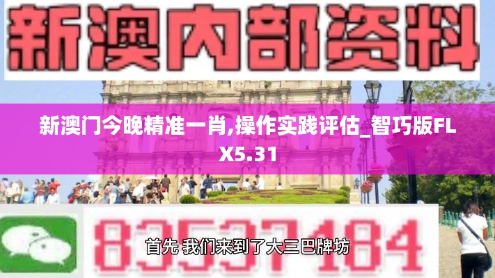 新澳門今晚精準一肖,操作實踐評估_智巧版FLX5.31