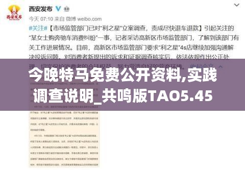 今晚特馬免費(fèi)公開資料,實踐調(diào)查說明_共鳴版TAO5.45