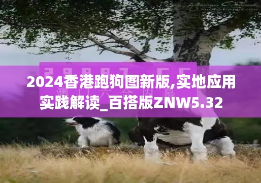 2024香港跑狗圖新版,實(shí)地應(yīng)用實(shí)踐解讀_百搭版ZNW5.32