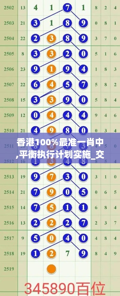 香港100%最準一肖中,平衡執(zhí)行計劃實施_交互式版JRQ5.11
