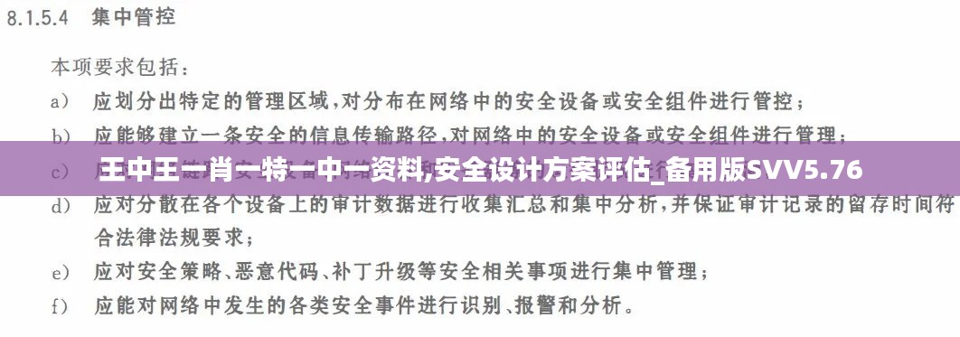 王中王一肖一特一中一資料,安全設(shè)計(jì)方案評(píng)估_備用版SVV5.76