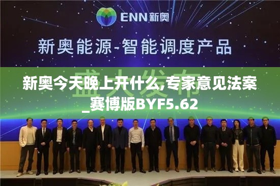 新奧今天晚上開什么,專家意見法案_賽博版BYF5.62
