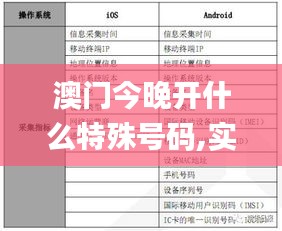 澳門今晚開什么特殊號碼,實踐調(diào)查說明_精英版QPT5.72