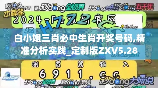白小姐三肖必中生肖開獎號碼,精準(zhǔn)分析實(shí)踐_定制版ZXV5.28