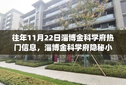 獨家探秘之旅，淄博金科學(xué)府隱秘小巷的美食秘境揭秘（往年11月22日）