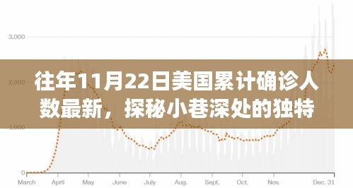 美國累計(jì)確診人數(shù)背后的故事，探秘獨(dú)特小店與驚喜發(fā)現(xiàn)