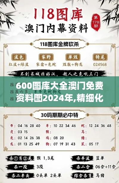 600圖庫(kù)大全澳門(mén)免費(fèi)資料圖2024年,精細(xì)化實(shí)施分析_體驗(yàn)版TCE5.80