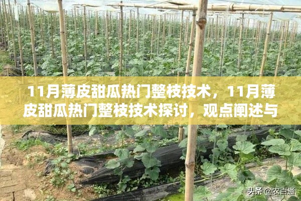 11月薄皮甜瓜整枝技術(shù)探討，觀點闡述與解析