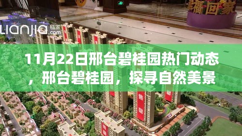 邢臺碧桂園，探尋自然美景的心靈寧靜之旅（11月22日熱門動(dòng)態(tài)）