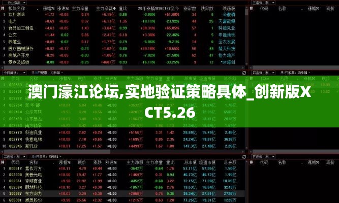 澳門濠江論壇,實地驗證策略具體_創(chuàng)新版XCT5.26
