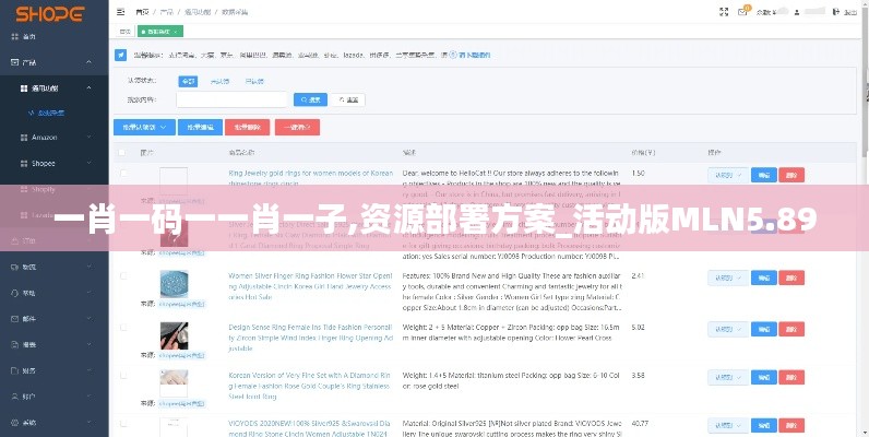 一肖一碼一一肖一子,資源部署方案_活動版MLN5.89