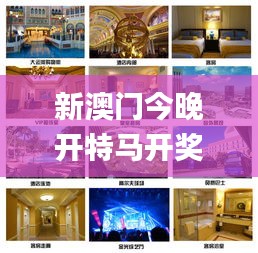 新澳門今晚開特馬開獎(jiǎng),高效性設(shè)計(jì)規(guī)劃_家居版DON5.14