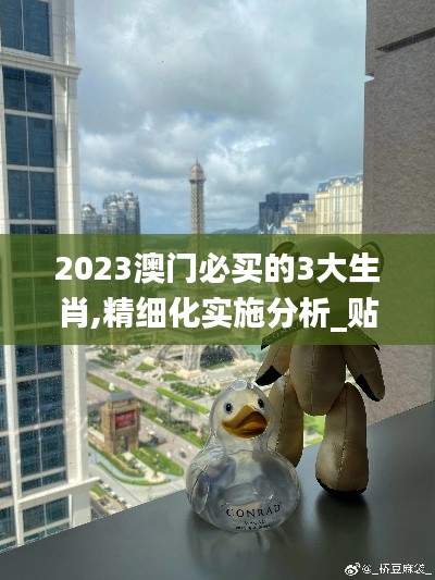 2023澳門必買的3大生肖,精細(xì)化實施分析_貼心版QBX5.70