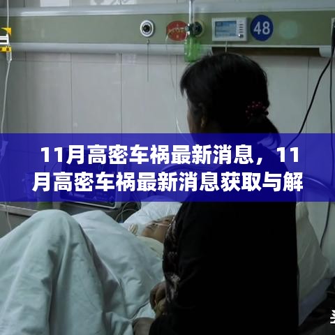 11月高密車禍最新消息解讀與獲取指南，適用于初學(xué)者與進(jìn)階用戶