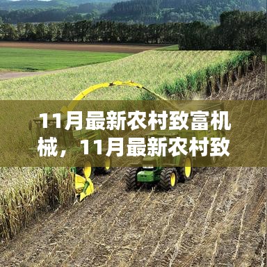 11月最新農(nóng)村致富機械引領(lǐng)農(nóng)業(yè)新時代發(fā)展