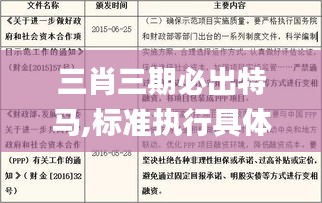 三肖三期必出特馬,標準執(zhí)行具體評價_旅行者特別版GDS5.87