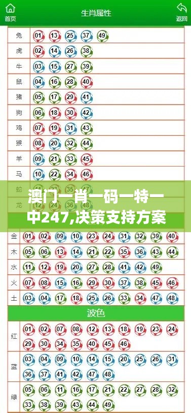 澳門(mén)一肖一碼一特一中247,決策支持方案_投影版BZD5.39