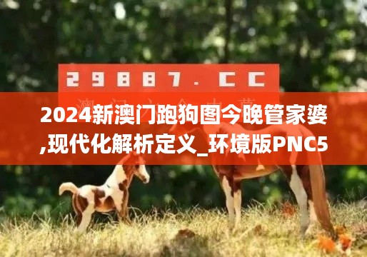 2024新澳門(mén)跑狗圖今晚管家婆,現(xiàn)代化解析定義_環(huán)境版PNC5.51
