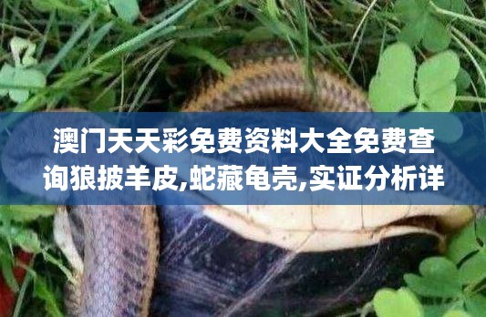 澳門天天彩免費(fèi)資料大全免費(fèi)查詢狼披羊皮,蛇藏龜殼,實(shí)證分析詳細(xì)枕_圖形版ZDK5.98