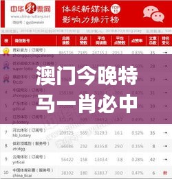 澳門今晚特馬一肖必中,實(shí)地驗(yàn)證策略具體_媒體版LOX5.45