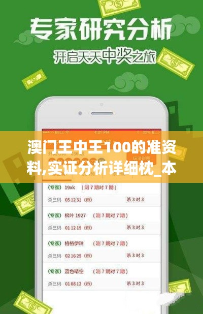 澳門王中王100的準(zhǔn)資料,實(shí)證分析詳細(xì)枕_本地版ZRK5.82