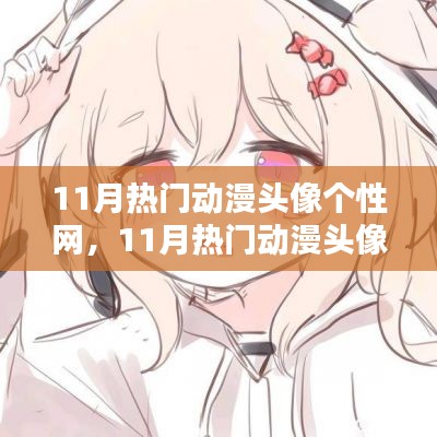 11月熱門動漫頭像個性網(wǎng)，全面評測與詳細介紹
