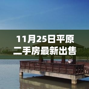 揭秘最新平原二手房市場，最新出售信息詳解（11月25日）
