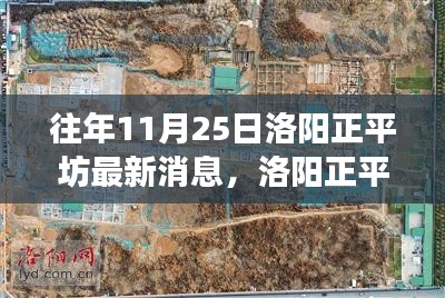 洛陽(yáng)正平坊鄰里聚會(huì)日，十一月暖陽(yáng)下的溫馨時(shí)光