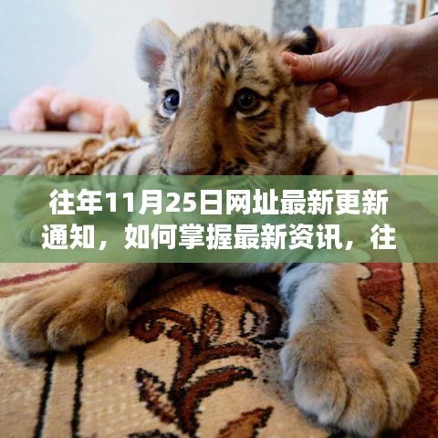 往年11月25日網(wǎng)址更新詳解，掌握最新資訊的方法與途徑解析