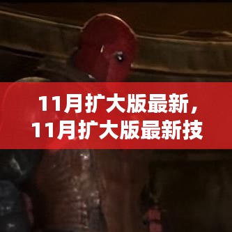 最新11月擴(kuò)大版技能學(xué)習(xí)指南，一步步教你完成任務(wù)