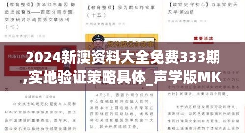 2024新澳資料大全免費333期,實地驗證策略具體_聲學(xué)版MKM11.16