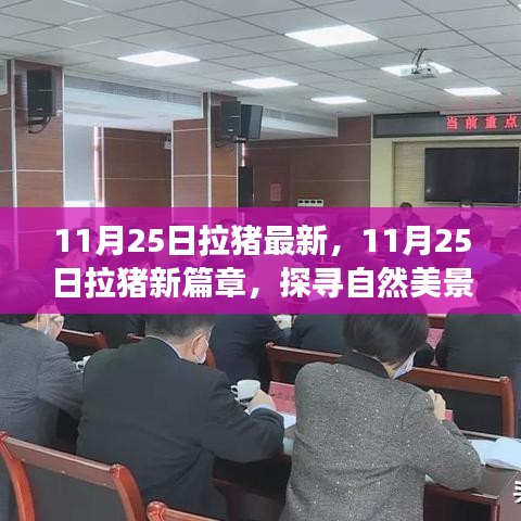 探尋自然美景之旅，11月25日拉豬新篇章，重拾內(nèi)心的寧靜與平和