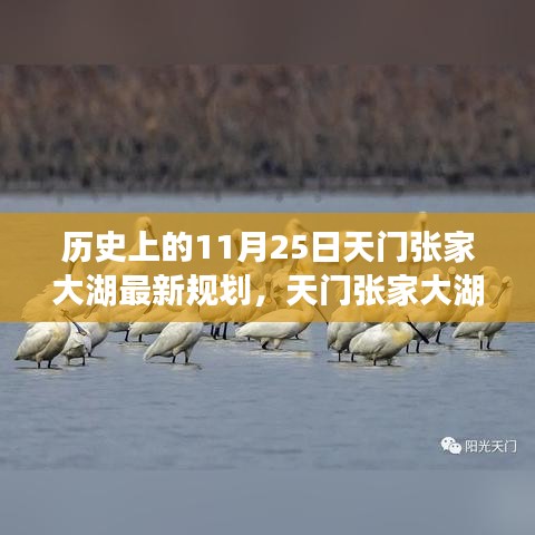 天門張家大湖新規(guī)劃啟航，變革的力量與自信的航道探索歷程