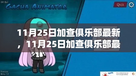 最新評測與介紹，11月25日加查俱樂部全面指南