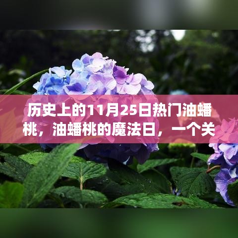 歷史上的油蟠桃魔法日，友情、愛與陪伴的溫馨故事